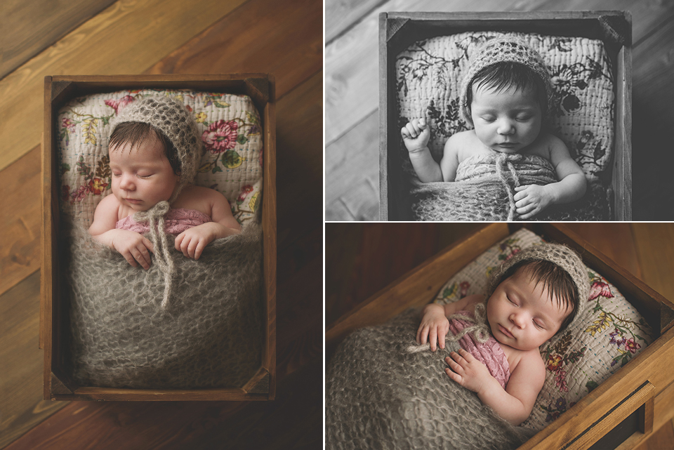 baby-girl-photographer-newborn-poppy-bed