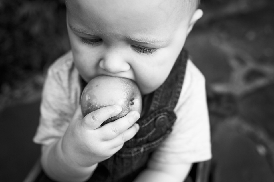 one-year-old-noah-photography-lorna-knightingale-inglewood-manor